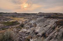 1 Day of Drumheller Dinosaurs and Badlands in Small Group Tour