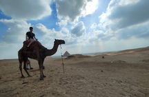 Experience Cairo Private Grand Egyptian Museum and Giza Pyramids