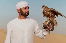 Shared Safari Tours in Dubai