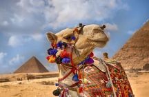 Full Day Tour to Giza Pyramids and Sphinx and Egyptian Museum