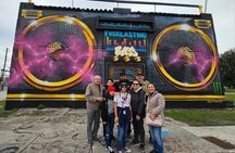 City Tour: Miami, Wynwood, and Little Habana + Cruise Tour