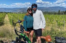 Kelowna Wine Tour by E-bike, Okanagan Valley Views and Lunch