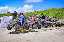 Tickets for Buggy and ATV Tour in Punta cana