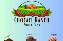 Horse on the Beach and Cafe Cacao Sigarro 