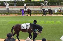 Horse Racing Tour with Local Fans in Tokyo, Oi Racecourse