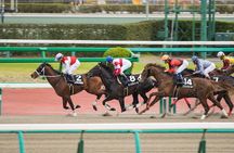 Horse Racing Tour with Local Fans in Nakayama Racecourse