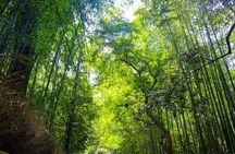 1 Day Kyoto UNESCO World Heritage Sites Bus Tour