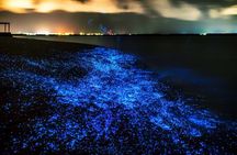 Bioluminescent Plankton, Sea Canoes & Sunset at James Bond Island