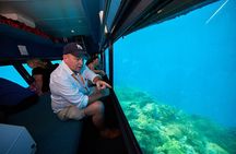 1 Day Great Barrier Reef Cruise and 10 Minute Helicopter Flight