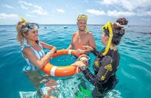 1 Day Great Barrier Reef Cruise and 10 Minute Helicopter Flight