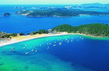 5-Day Best of the North Island from Auckland 