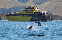 5-Day Best of the North Island from Auckland 