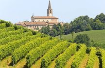 Milan Oltrepo Pavese Vineyards Grape Stomping and Wine Tasting