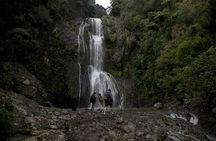 Black Sand PIHA BEACH, Maori Arts, Water Falls West Auckland Tour