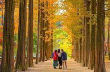 [Private Tour] Nami Island+Morning calm Garden+Petite France