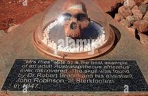 Cradle of humankind and Maropeng halfday guided tour