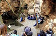 Cradle of humankind and Maropeng halfday guided tour