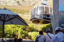 Robben Island, Table Mountain, Wine Tasting at Groot Constantia
