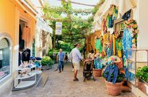 Coastal Escape Amalfi and Positano by Sea from Naples