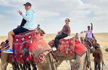 VIP half day tour Giza Pyramids