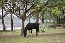 Hanoi Horseback Riding Tour - Exclusive Experience