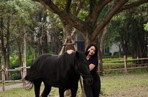 Hanoi Horseback Riding Tour - Exclusive Experience