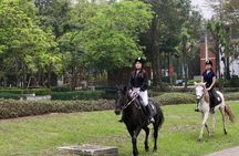Hanoi Horseback Riding Tour - Exclusive Experience