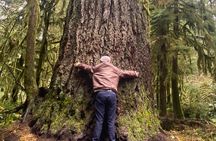 Exclusive: Rainforest and Olympic National Park from Seattle