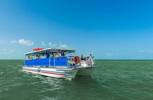 St. Augustine Wildlife Adventure: Boat Cruise & Kayak Eco Tour