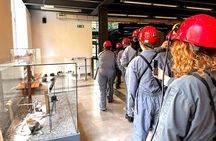 From Krakow: Salt Mine Wieliczka Miners Route Tour