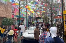  Puerto Plata private tour + countryside