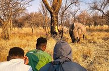 Rhino Trekking + Safari in the Bush near the Zambezi River