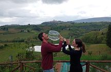 Tuscany and Chianti Wine Tasting Small Group Tour