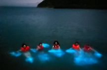 Mystic Waters A Bioluminescent Night Tour