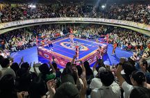 Lucha Libre Experience in Mexico City