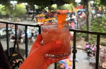 Mexican Mixology Workshop with Panoramic View in Coyoacán