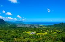 Private Circle Island Tour North Shore and East Side