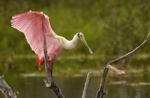 Palo Verde National Park - a wild taste of Costa Rica