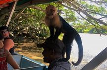 Palo Verde National Park - a wild taste of Costa Rica