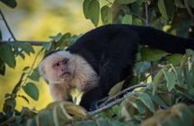 Palo Verde National Park - a wild taste of Costa Rica