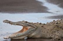 Palo Verde National Park - a wild taste of Costa Rica