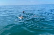 Private Panama City Beach Sunset Tour