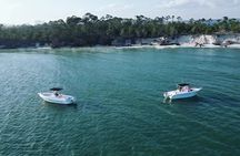 Swim with Dolphins And Snorkeling Group Tour