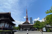 Tokyo Tower & Zojoji Temple Tour (Includes Tokyo Tower Ticket)