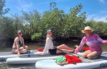 Scenic Mangrove Tunnel Paddle Tour – New Smyrna Beach