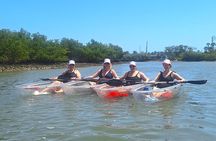 Scenic Mangrove Tunnel Paddle Tour – New Smyrna Beach