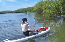 Scenic Mangrove Tunnel Paddle Tour – New Smyrna Beach
