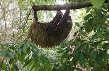 Boat trip to Monkey Island + Bridge of the Americas