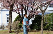 Kimono Styling & Shrine Photos with Gajoen Stylist - Full Service