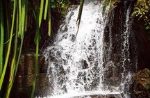 Phuket Deep Roots Jungle to Sea Kayaking and Trekking Adventure